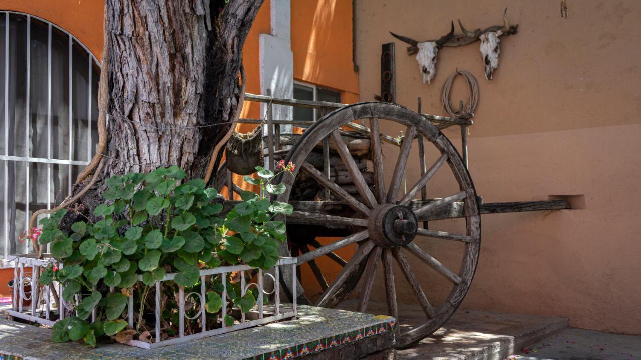 Hotel Posada Bugambilias 산루이스포토시주 외부 사진
