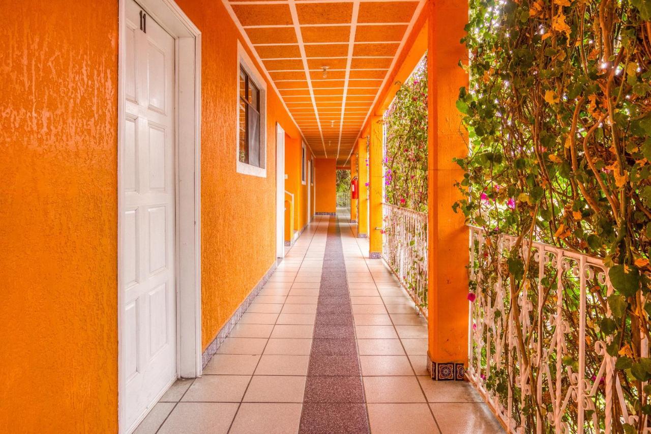 Hotel Posada Bugambilias 산루이스포토시주 외부 사진